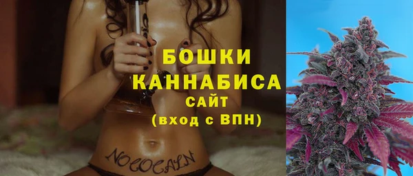 прущие грибы Вяземский