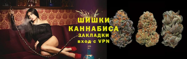 мдпв Вязьма