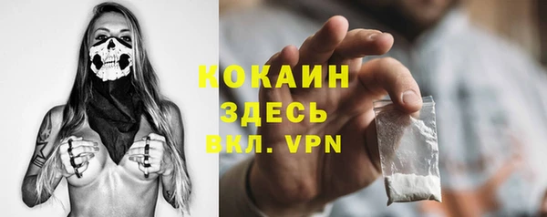 прущие грибы Вяземский