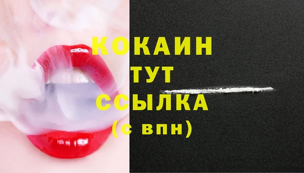 мдпв Вязьма