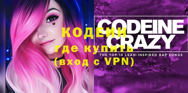 прущие грибы Вяземский