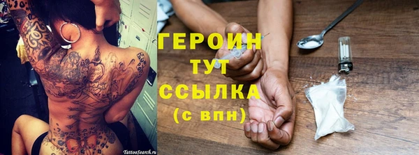 прущие грибы Вяземский