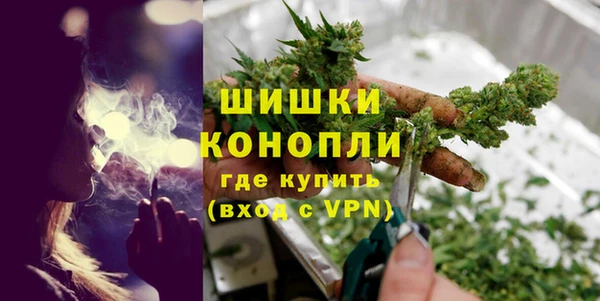 прущие грибы Вяземский