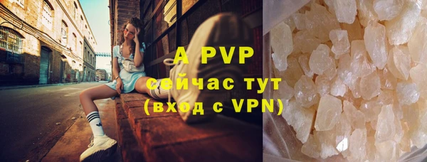 прущие грибы Вяземский