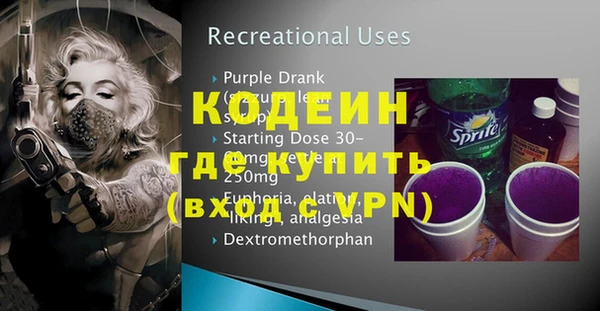 прущие грибы Вяземский
