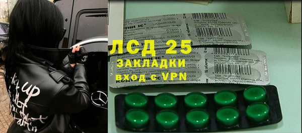 прущие грибы Вяземский
