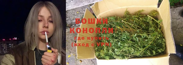 мдпв Вязьма