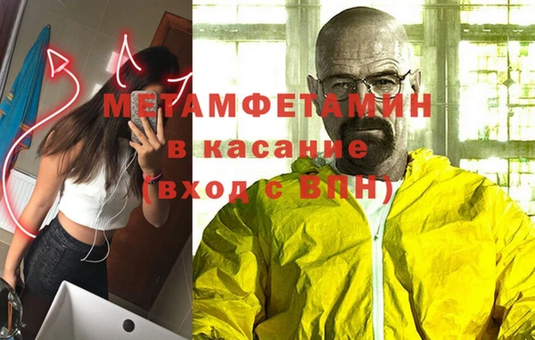 прущие грибы Вяземский