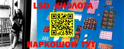 стафф Заводоуковск
