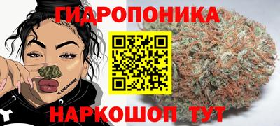 стафф Заводоуковск