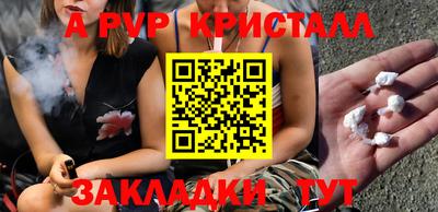 стафф Заводоуковск