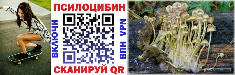 Галлюциногенные грибы GOLDEN TEACHER  Купить закладки  Назрань 