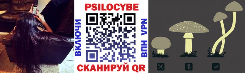 Псилоцибиновые грибы Psilocybe Назрань