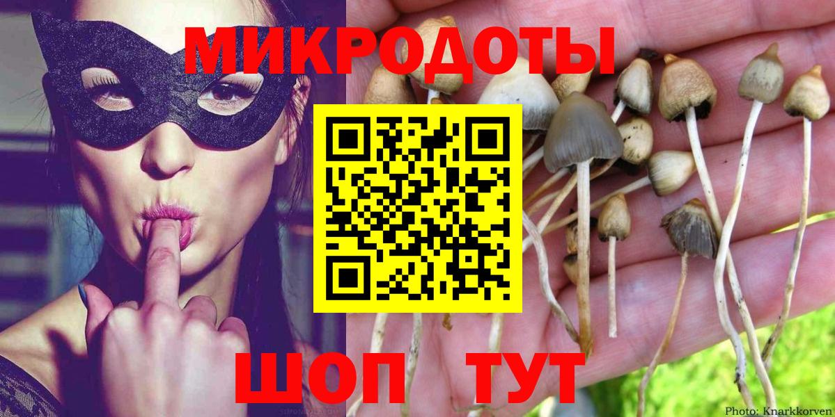 Галлюциногенные грибы Psilocybine cubensis  Галлюциногенные грибы Psilocybe  Назрань 