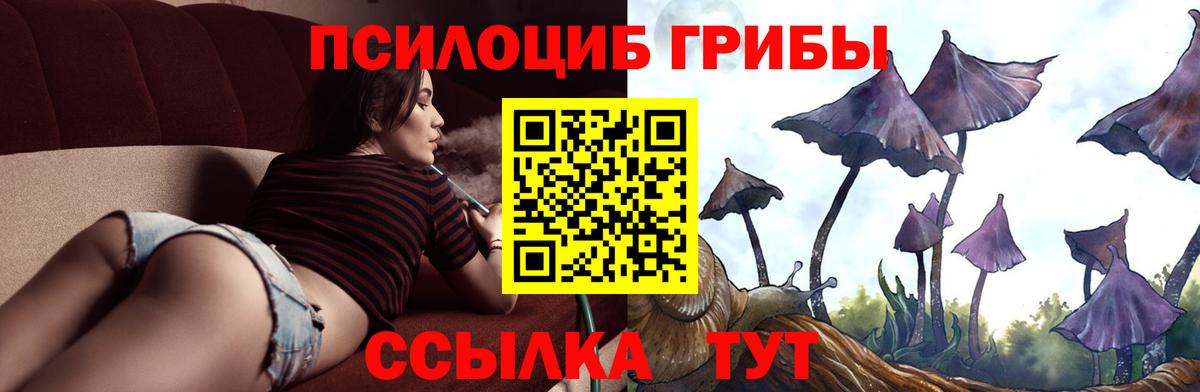 COCAIN  Конопля  МЕФ   КОКАИН  ГАШ  ГАШ  Назрань  LSD-25  МАРИХУАНА  MDMA 