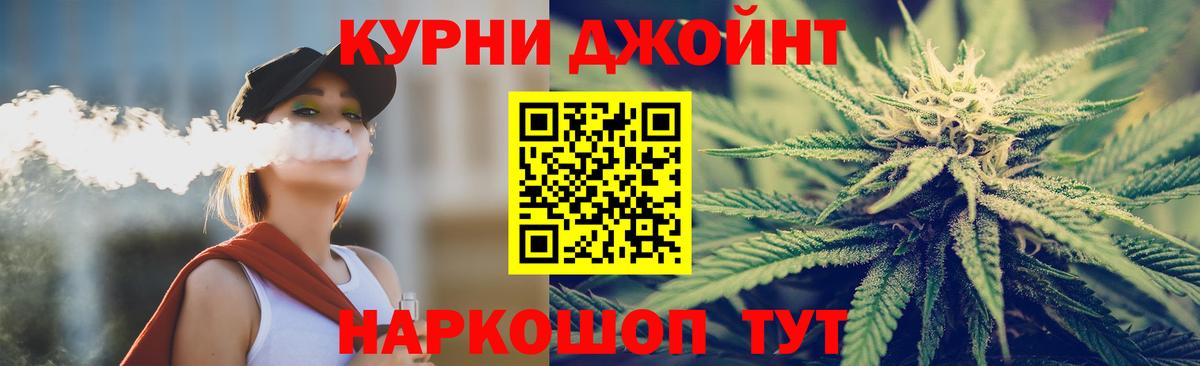 Конопля план  Назрань  Конопля сатива 